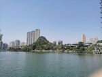 公园湖景