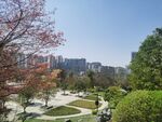 美丽公园