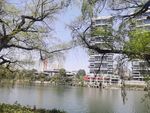 公园美景