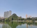 湖景园林