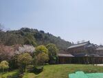 古建筑