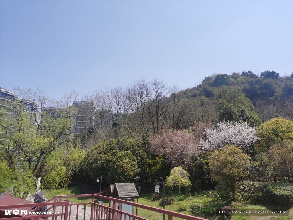 山野
