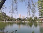 湖景美景