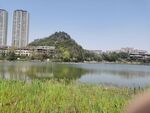 湖景公园