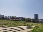 公园城市