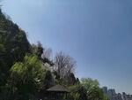 公园景观