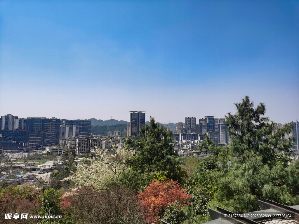 城市公园