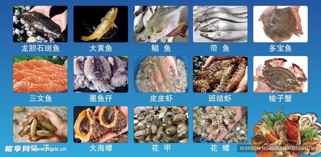 海鲜带单展示