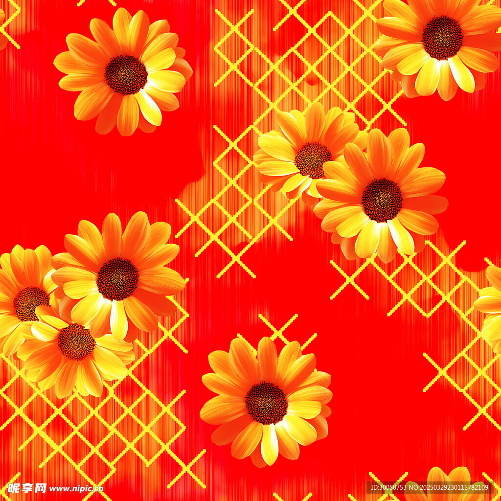 太阳花