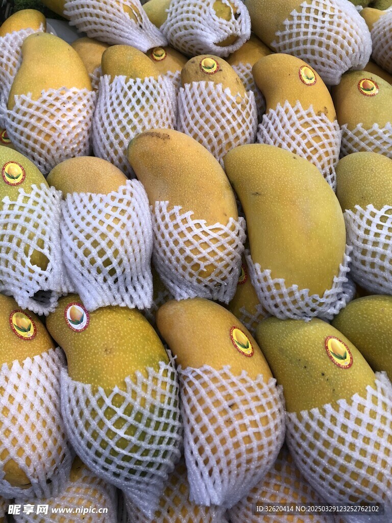 芒果