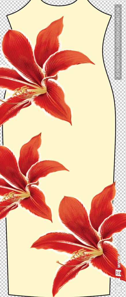 百合花 定位花
