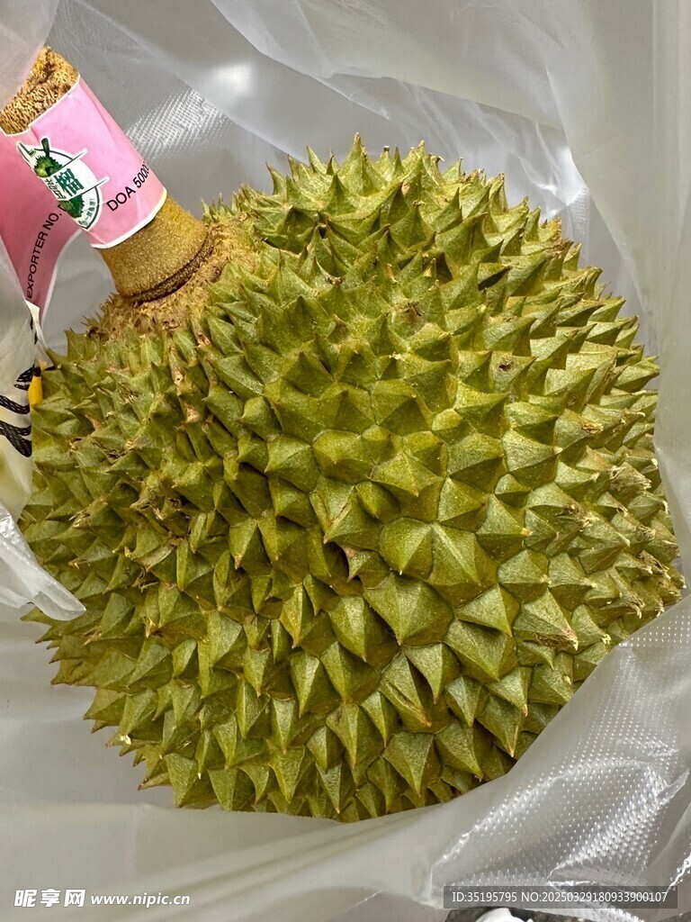 榴莲