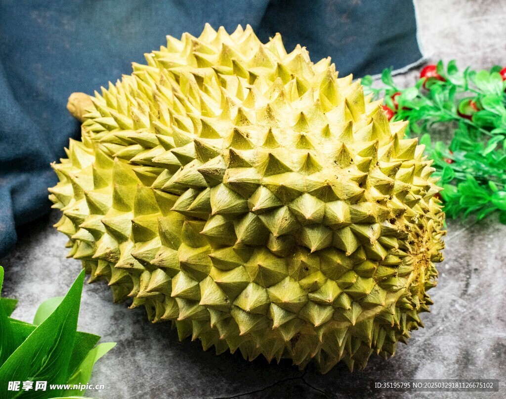 榴莲