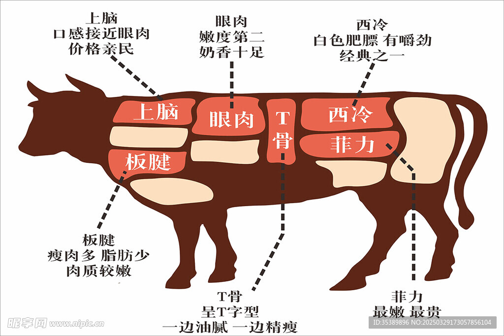 牛肉分布分割图