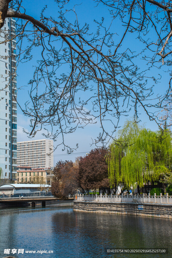 春日河畔萌芽景观