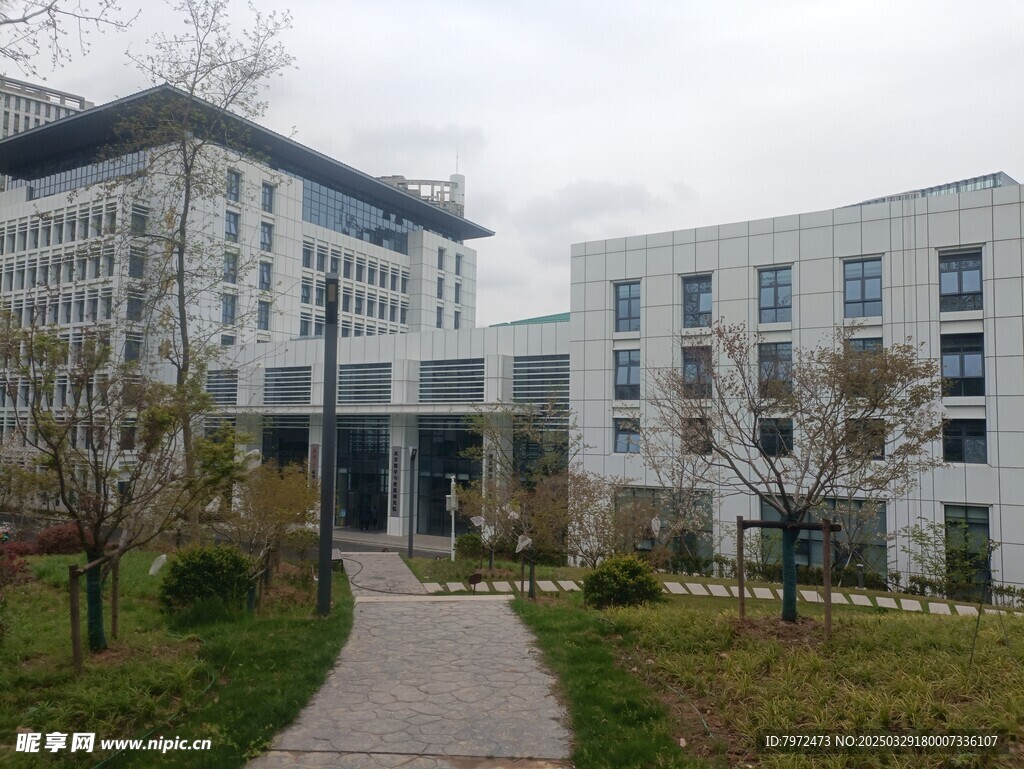 学校建筑