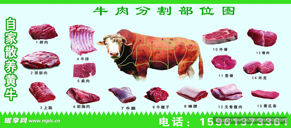 牛肉分割图