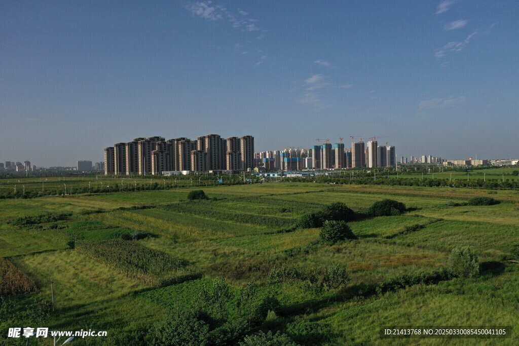 城市楼群