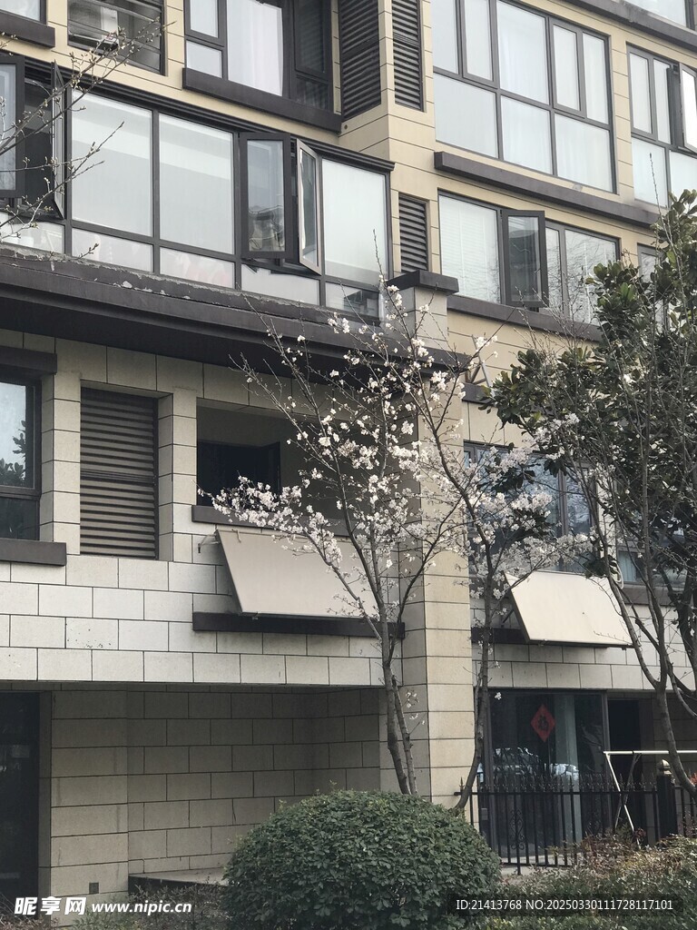 城市小区风景