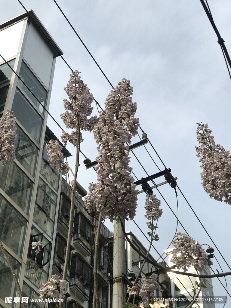 城市小区风景
