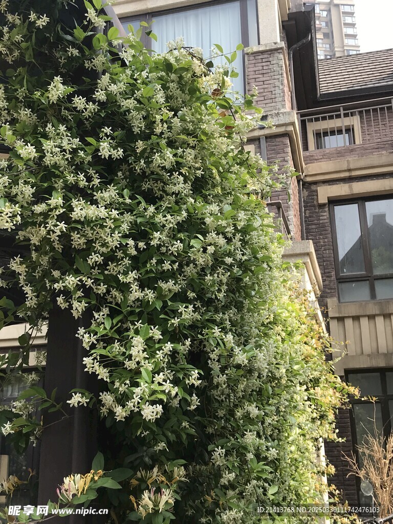 城市小区风景