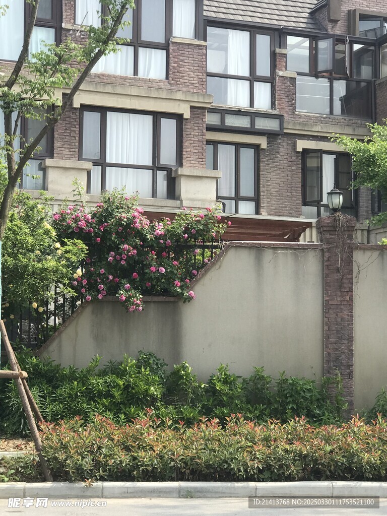 城市小区风景