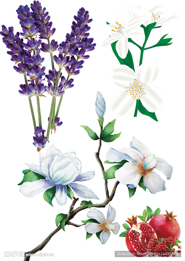 栀子花 薰衣草