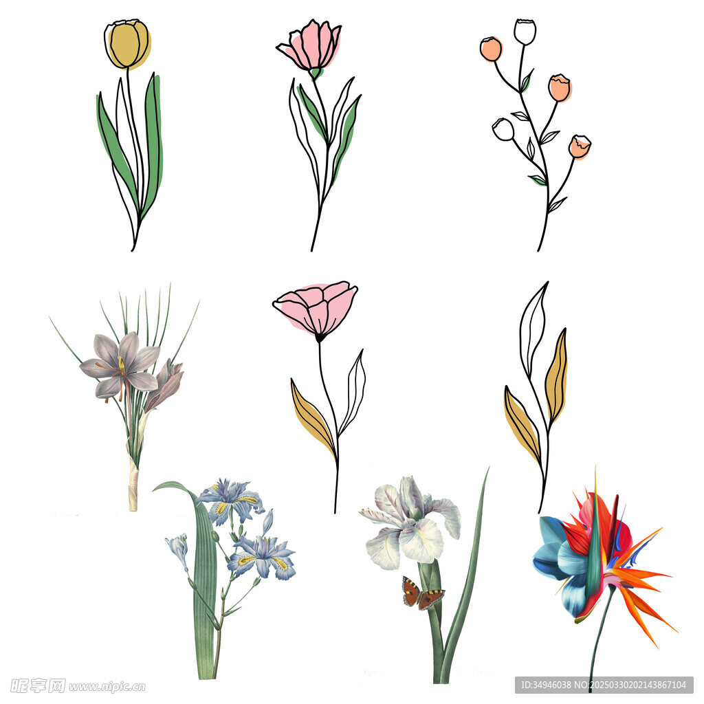 鲜花   
