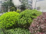 小区园林