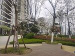 小区桃花