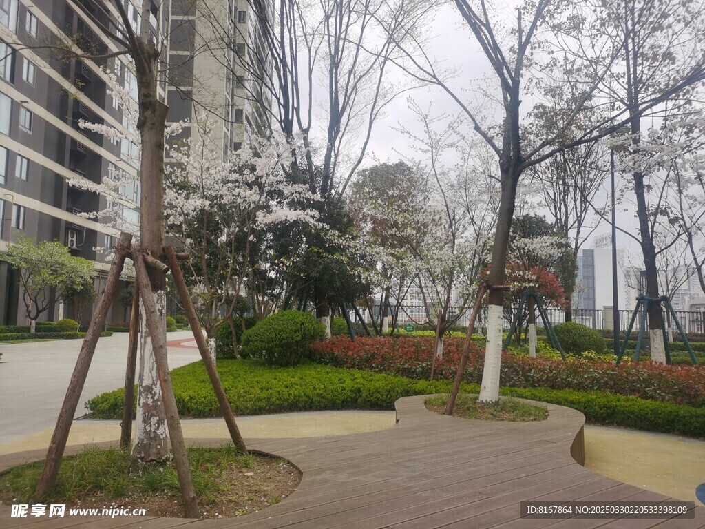 小区桃花