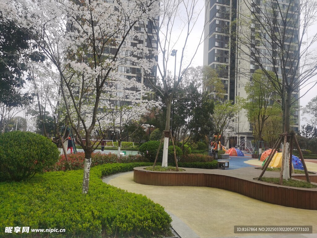 小区桃花