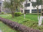 小区绿化