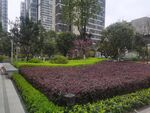 小区园林