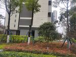 小区园林