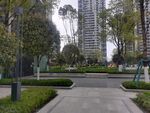 高端小区