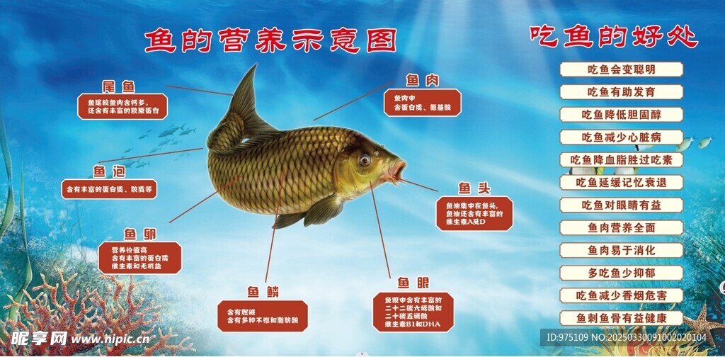 吃鱼的好处 鱼的营养价值