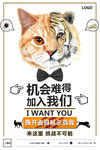 招聘海报           