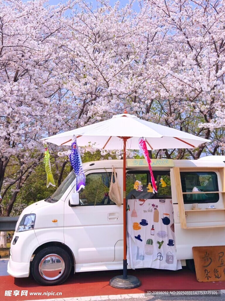 樱花