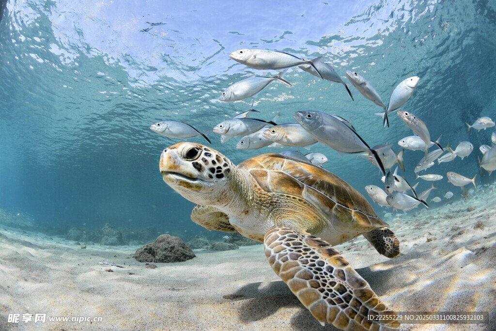 海底世界