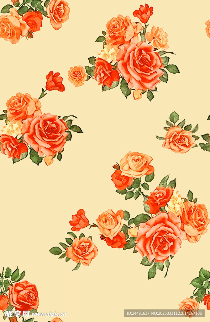 玫瑰花