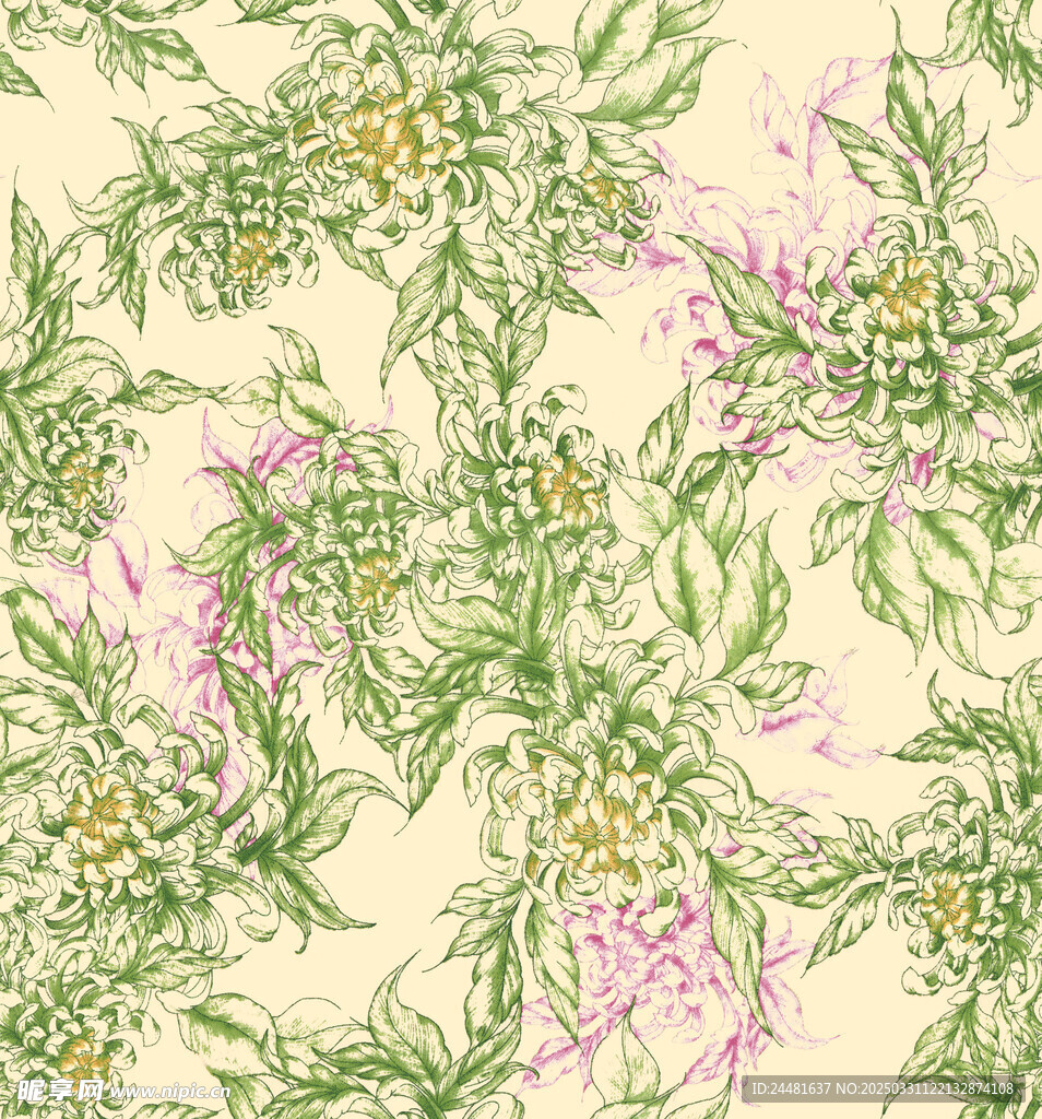菊花