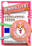 宠物海报 柯基传单 狗狗海报