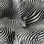 AI生画
