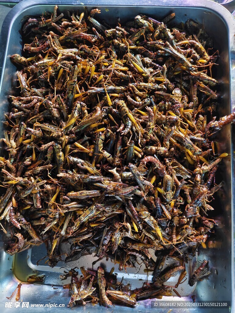 炸蚂蚱美食