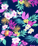 热带花