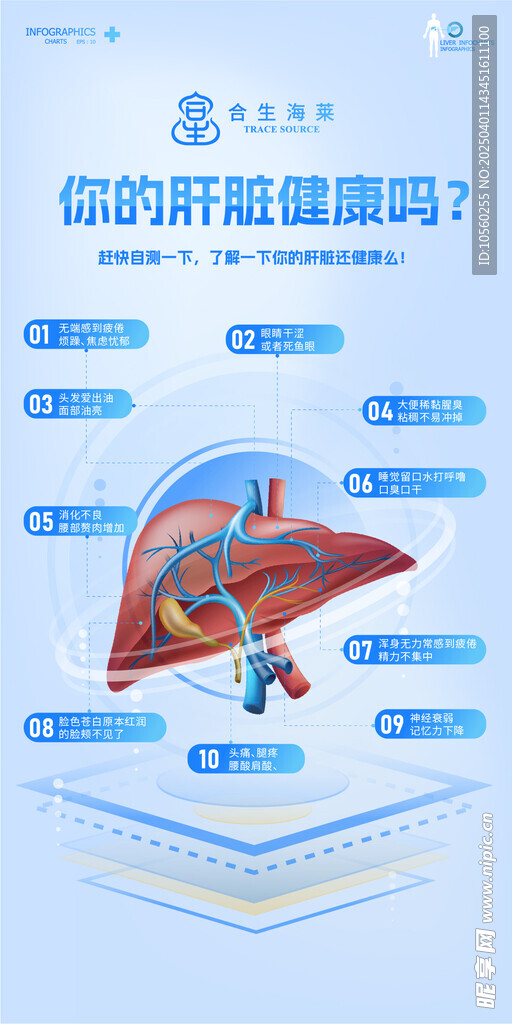 健康养生肝脏保护海报