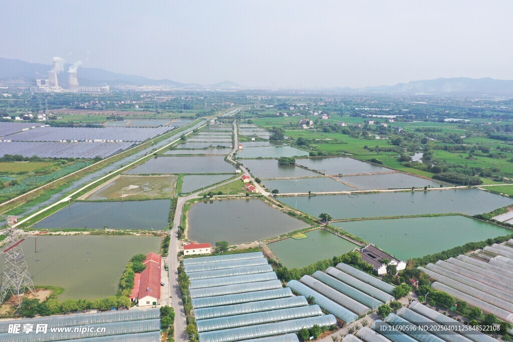 南杨村渔场