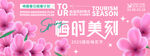春季活动宣传 