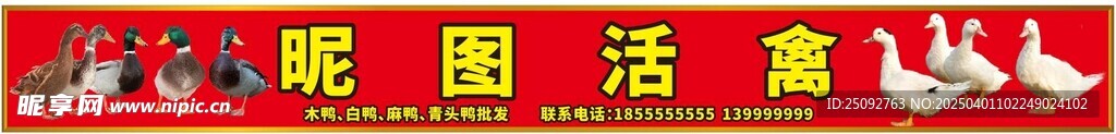 活禽招牌